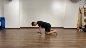 Side Kick Through - High Hip