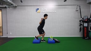 Hurdle Step-over to Decline Box - Dowel on Shoulder