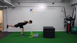 Scale Jump to Box - Dowel on Shoulder