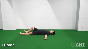 BWD Lunge & FWD Lunge -Supine to Prone