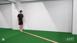 Balance Beam Stag Sq Walk