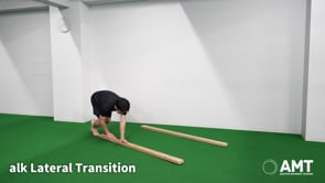 Balance Bear Walk Lateral Transition