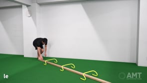 Balance Bear Walk Step - Over Hurdle