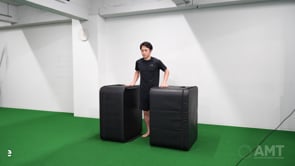 Box Vertical Press Knee Raise