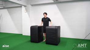 Box Vertical  Press Leg Raise