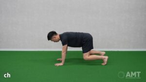 Bear Position Diagonal Switch