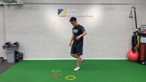 SL Hinge w/SA Reach