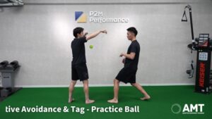 Reactive Avoidance & Tag - Practice Ball