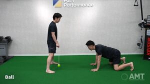 Bear Position Reactive Avoidance - Practice Ball