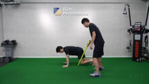 Bear Position Avoidance - Dowel