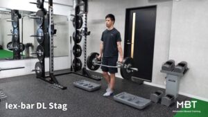 Hex-bar DL Stag