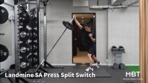 Landmine SA Press Split Switch