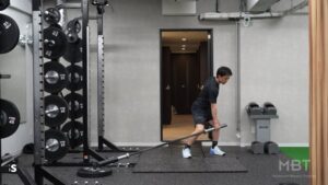 Rot-Perp Landmine SA Press Switch Hands