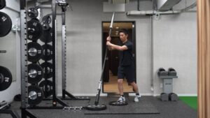 Landmine Tilt - Vary Hand Position