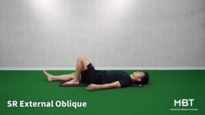 SR External Oblique-1