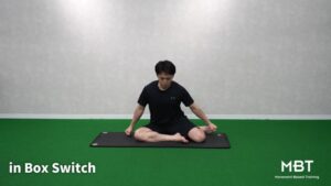 Shin Box Switch