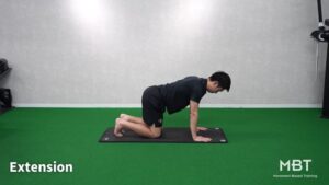 Down Dog SL Extension