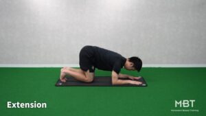 Knee-Elbow Hip Extension